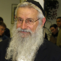 קובץ:Rzalman.jpg