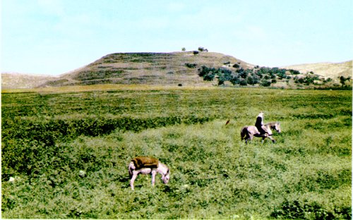 קובץ:Dotan6.jpg