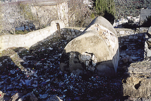 קובץ:PinchasA.jpg