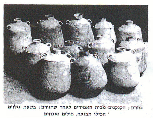 קובץ:Meron 3.jpg