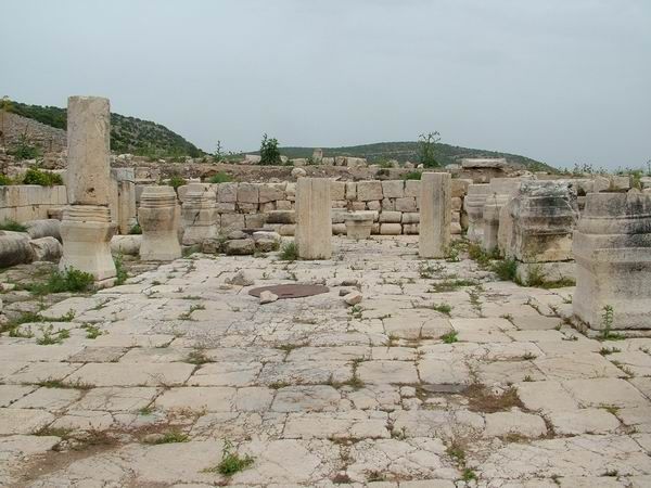קובץ:44.jpg