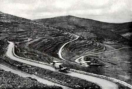 קובץ:Maale levona.jpg
