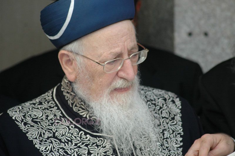 קובץ:Nf 1571 100802(1).jpg