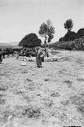 קובץ:Northern views. Joseph's Well at Dothan.jpg