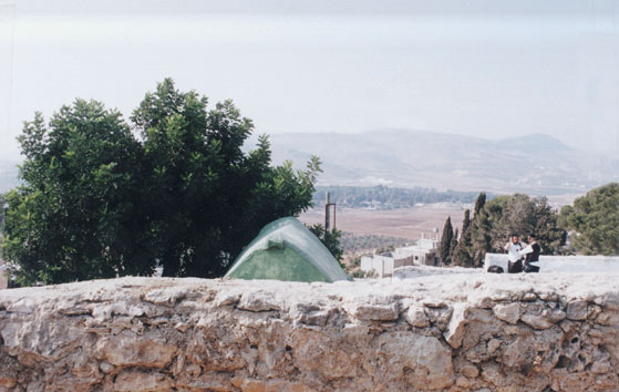 קובץ:Pinchas2.jpg