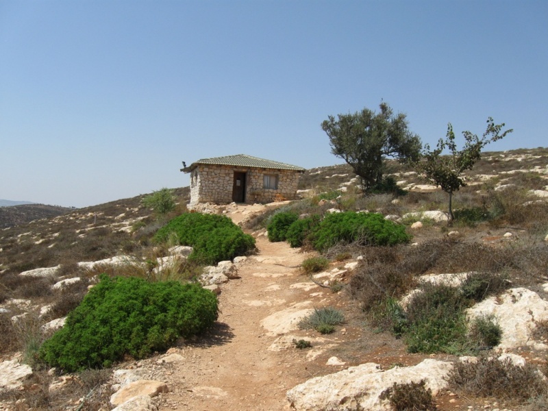 קובץ:Scali synagogue.jpg