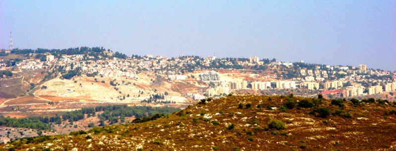 קובץ:ZPAT.jpg