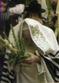 תמונה ממוזערת לגרסה מ־14:22, 26 ביוני 2011