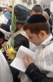 תמונה ממוזערת לגרסה מ־14:20, 26 ביוני 2011