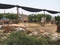 תמונה ממוזערת לגרסה מ־19:47, 20 בספטמבר 2008