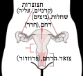 תמונה ממוזערת לגרסה מ־07:54, 9 בספטמבר 2009